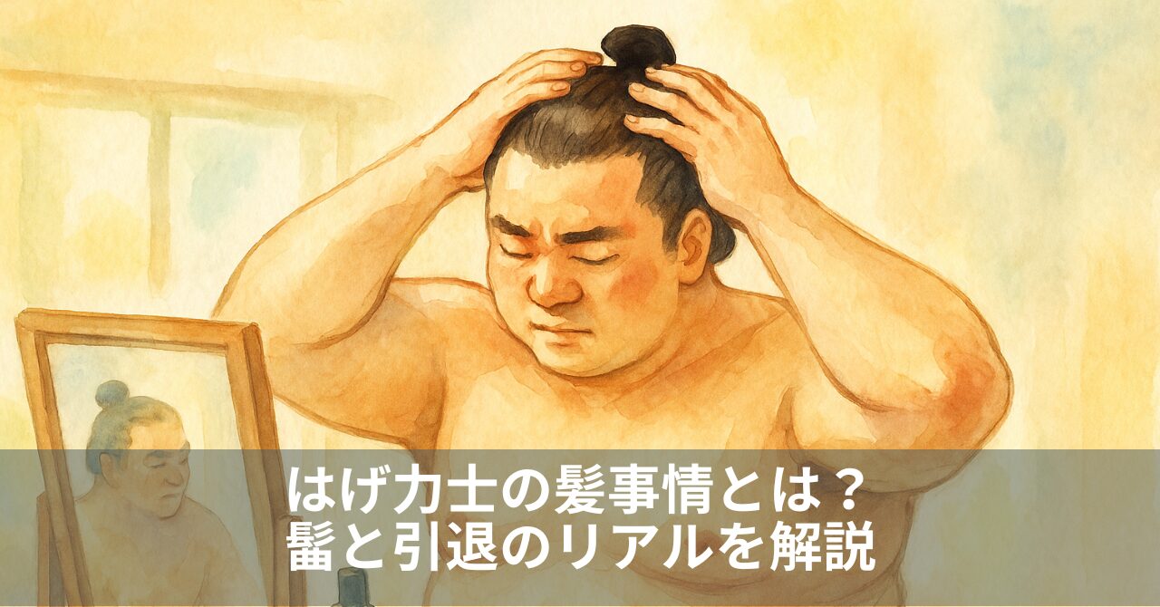 はげ力士の髪事情とは？髷と引退のリアルを解説