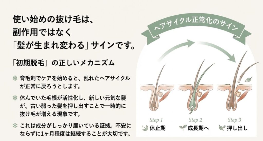 新しい髪が古い髪を押し出すことで一時的に抜け毛が増える現象を、3つのステップで示した図。